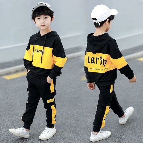 Boys Autumn Spring Sweater and Pants